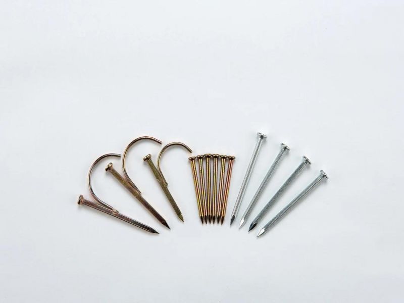 Steel Concrete Nails (2-1/2") with Competitive Prices in China