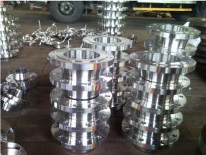 Forged Steela105 F304 F316 Flange