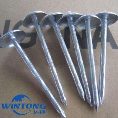 Umbrella Head Twisted Shank Roofing Nail
