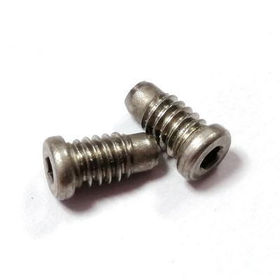 Stainless Steel Low Socket Cap Head Screw with Dog Point
