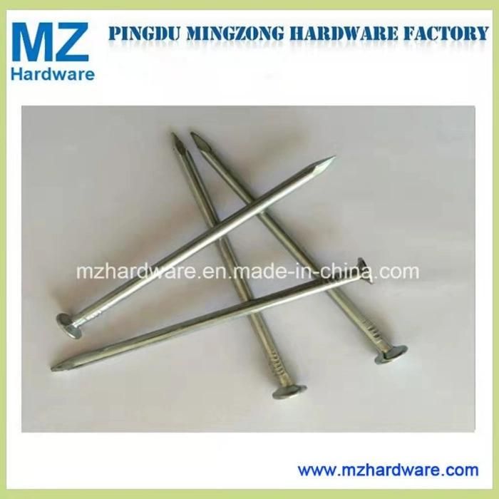 Eletro-Galvanized Nail Concrete Steel Nail