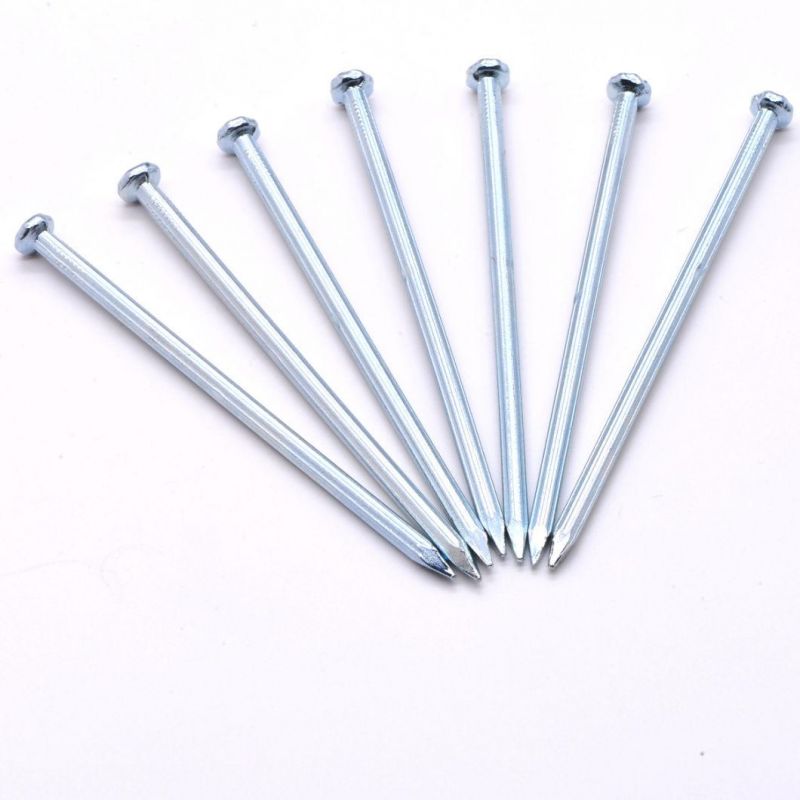 Galvanized Concrete Nail Zinc Coated Concrete Steel Nails