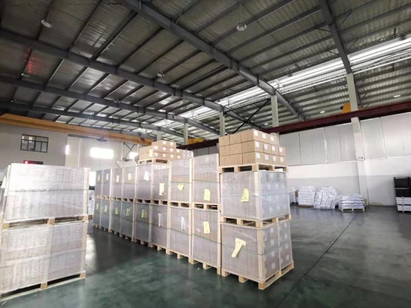 Made in China Wafer Head Phillips Drilling Screw