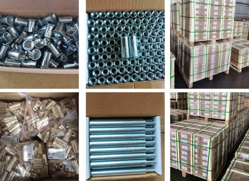 Carbon Steel Wedge Expansion Anchor Bolt with Nuts and Washers