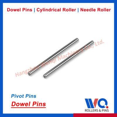 China Pivot Pins Stainless Steel A2 with Chamfer Ends