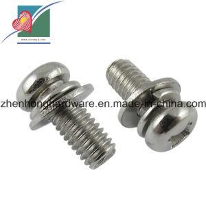 Nickel Plating Pan Head Screw with Flat Washer (ZH-SS-005)