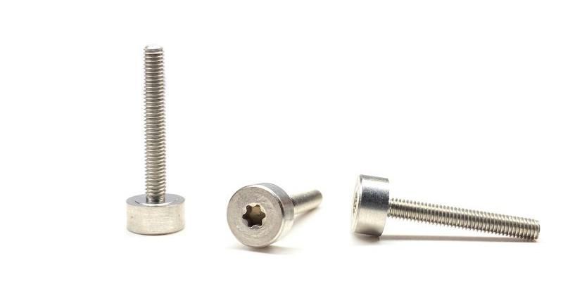 Special Ss Torx Socket Head Cap Machine Big Head Screws
