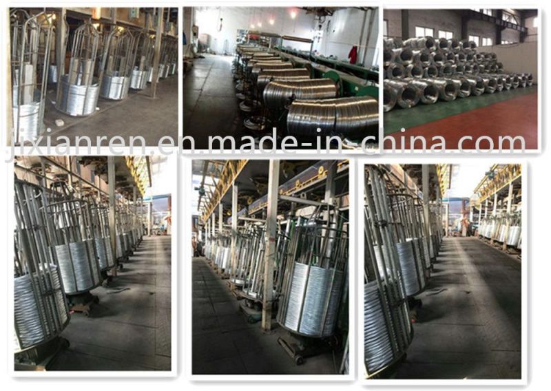 40d Hot Dipped Galvanized Common Nails