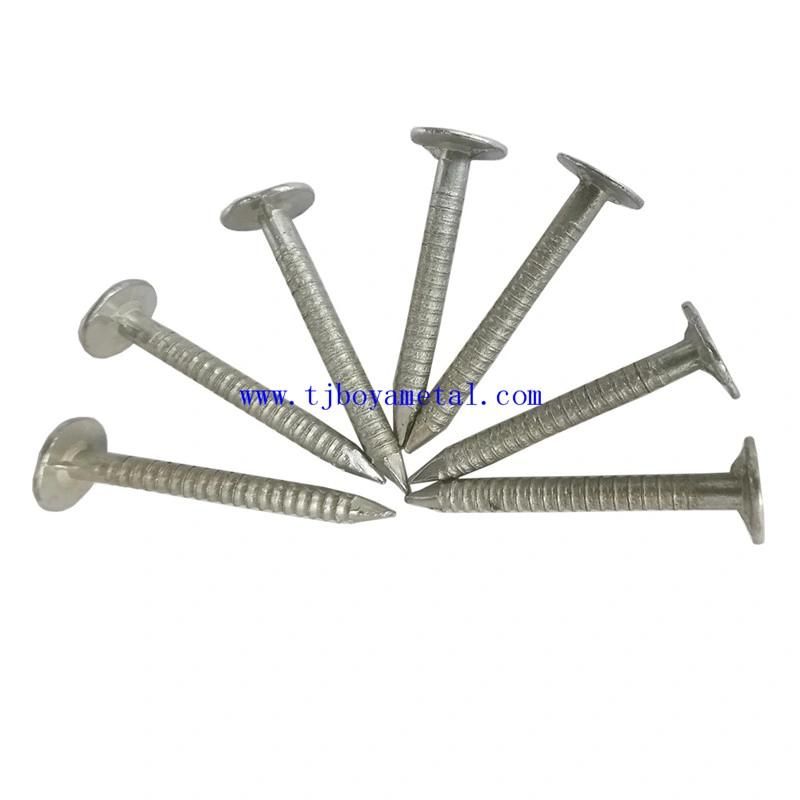 Ring Shank Nails/Smooth Spiral Ring Shank Nails for Building and Construction