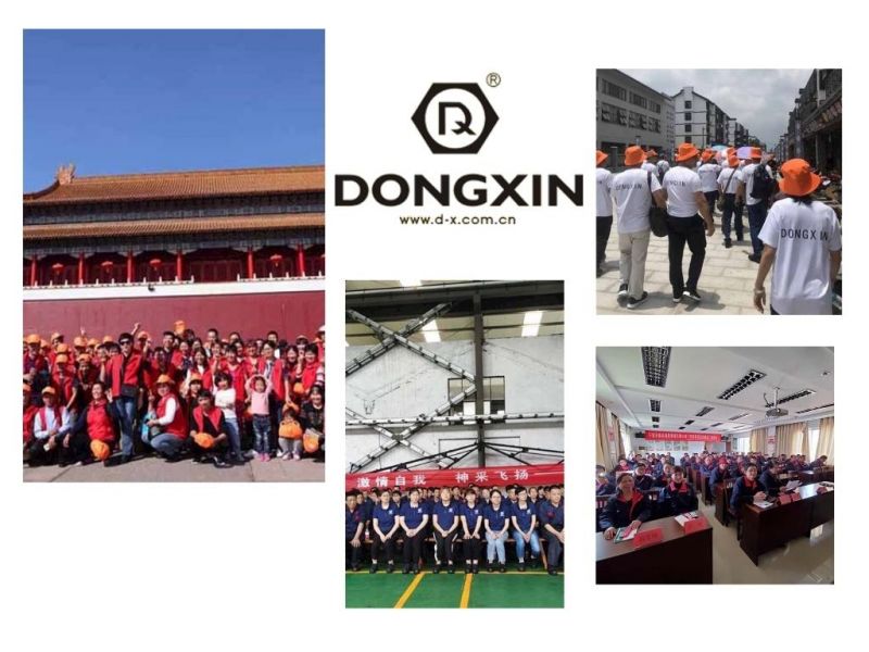 DIN912 High-Density High-Strength Hexagon Socket Bolts Screws with Low Price