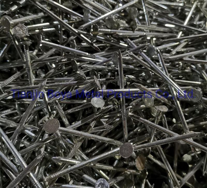 China Nails Factory Top Quality Clout Head Zinc Coated Cupper Nails