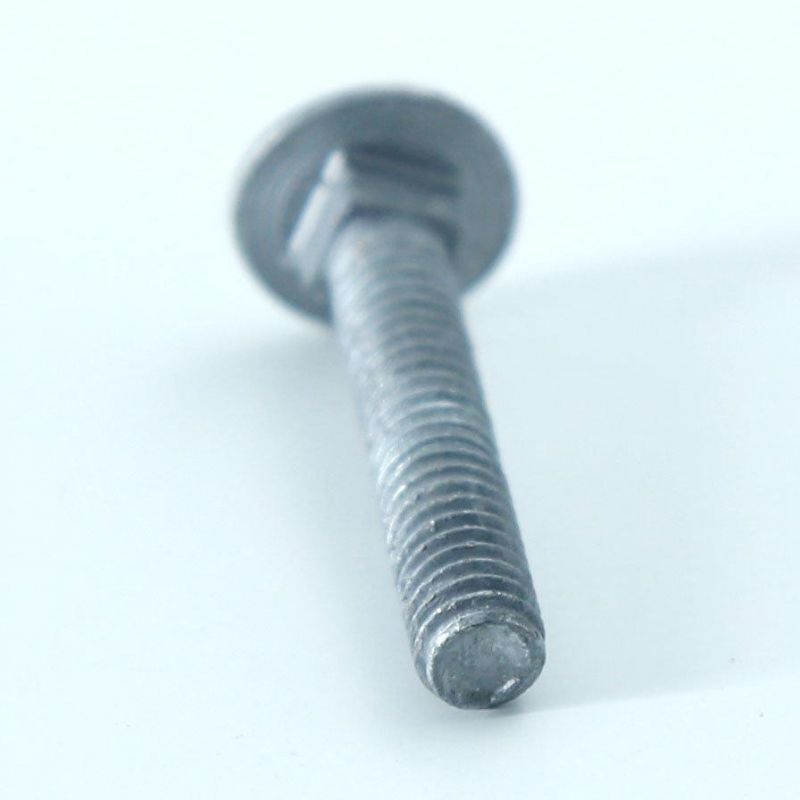 Carriage Bolt Carriage Bolts HDG/Zp/Plain and Stainless Steel Carriage Bolt DIN603 with Nut