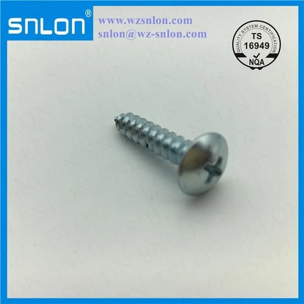 White Zinc Steel Phillip Mushroom Head Tapping Screw