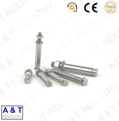 Delicate Stainless Steel Precession Type Back Bolt with High Quality