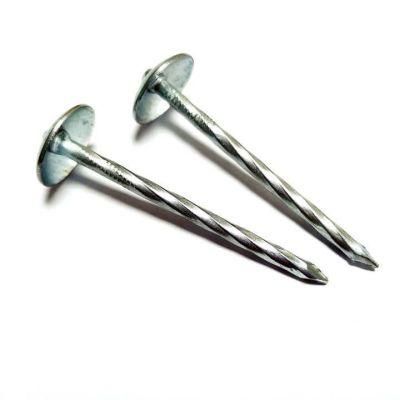 Galvanized Roofing Nails with Umbrella Head Smooth/Plain/Screw/Twist/Spiral/Ring Shank Corrugated Nails