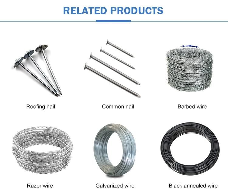 Hardened Steel Concrete Nails Steel Nails Stainless Steel Nails