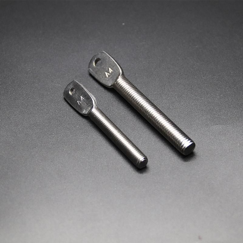 DIN/GB/ASTM Stainless Steel 304/316 Chinese Supplier High Quality Fastener Flat Head Bolt