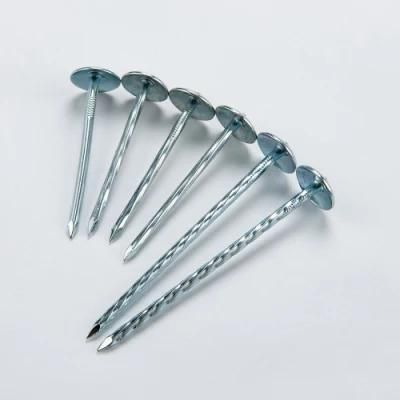 Galvanized Roofing Nail with Umbrella Head for Building and Connect