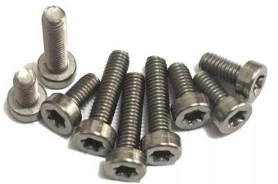 Screw Wholesale Stainless Steel 304 316 Torx Socket Head Cheese Machine Screws Hex Socket Screws