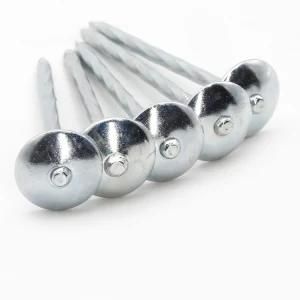 Q195 Steel Galvanized Roofing Nails for Colored Steel Sheet Roof