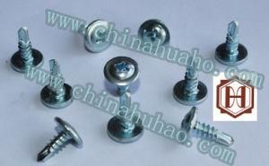 Screw/Modified Truss Cross Recess Head Self Drilling Screw Hot