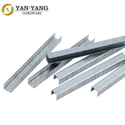 22 Ga Iron Staple Nail Galvanized Furniture Nail 1010f