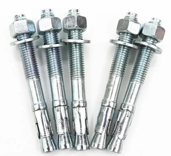 Stainless Steel Carbon Steel Drop in Expansion Bolt with Nut Wedge Anchor Stud Head Screw Throught Anchor