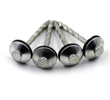Hot Selling Umbrella Head Plain Shank Roofing Nail (ADS-RN-1)
