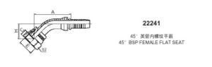 BSP Hose Fitting (22241)