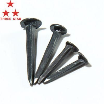 1/2&quot; Blue Shoe Tack Nail