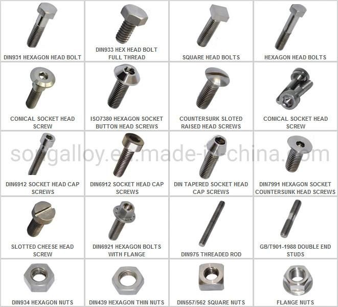 Titanium Hexagon Fit Bolts Titanium Alloy Fastener Connector