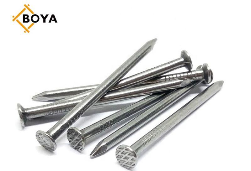 Top Quality Common Nails/Hardware/Galvanized/Hot Dipped Galvanized/Wood Nail for Construction