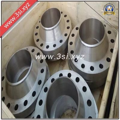 Hot Sale Stainless Steel Forged Weld Neck Flange (YZF-E297)