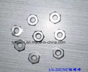 1/4-20unc Molybdenum Hex Nuts