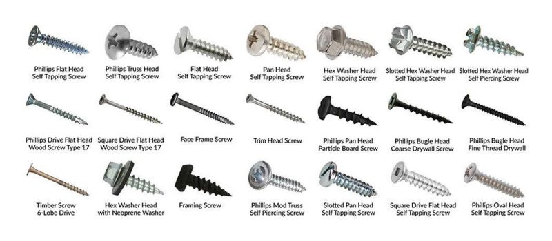 Made in China Special Drywall Stainless Steel Screws for Auto Parts