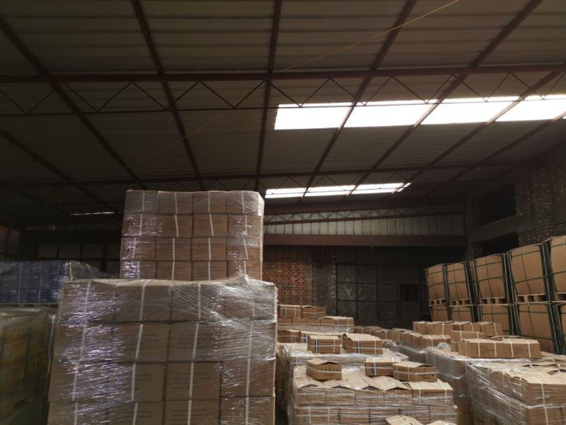 Ring Shank Steel Wire Common Nails with Factory Price