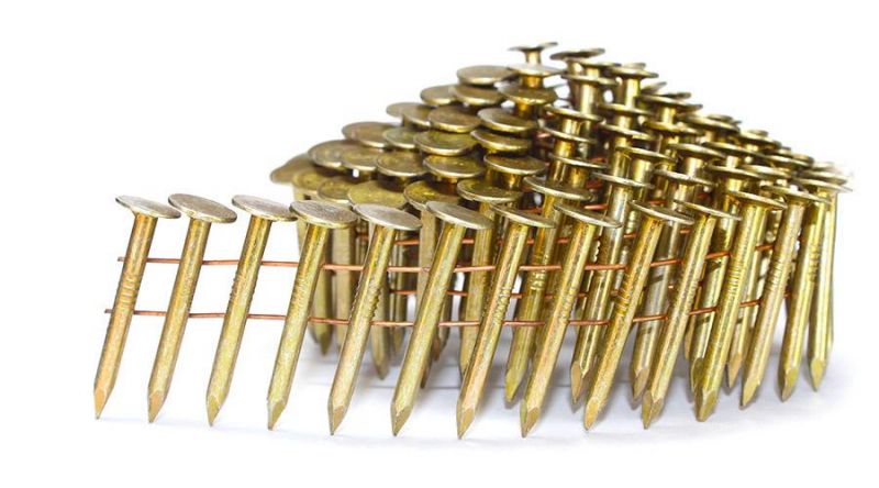 Electro Galvanized Smooth Shank Coil Roofing Nails