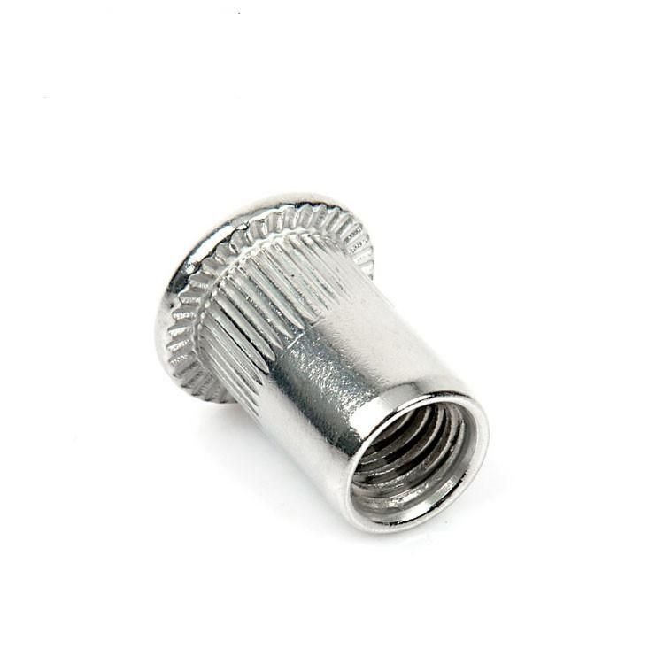 Stainless Steel Flat Head Knurled Rivet Nut