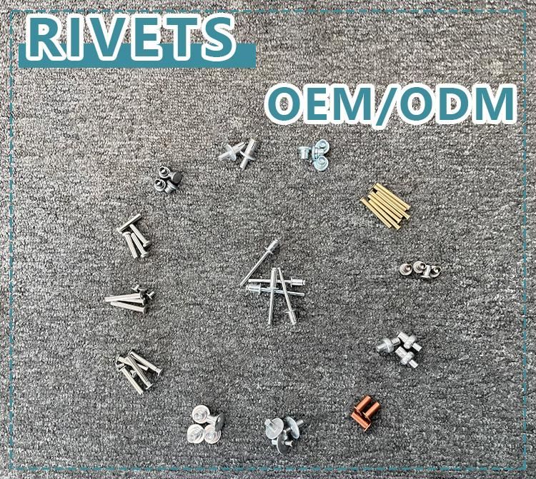 Tnn Step Semi Tubular Rivet Semi Tubular Rivets Long 22mm Semi-Tubular Rivet