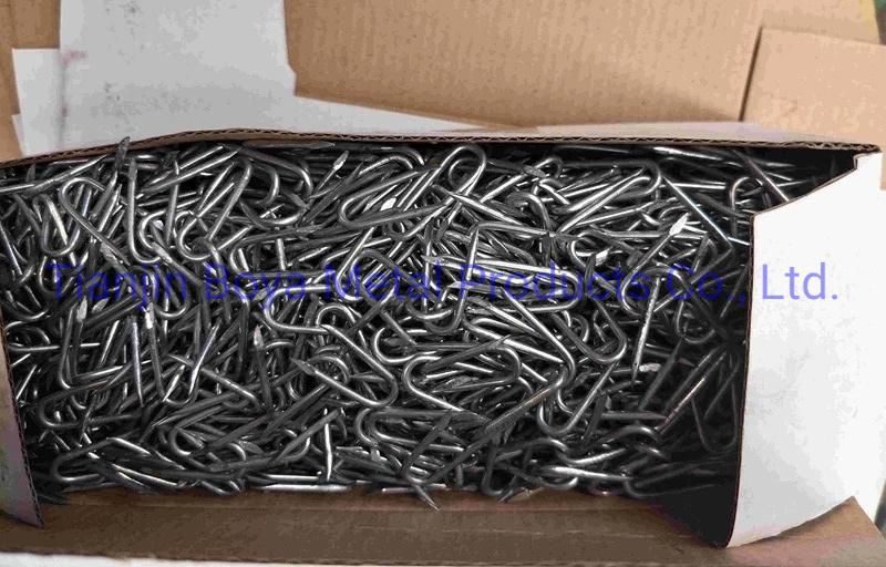 U Type Nail with Galvanized and Polished