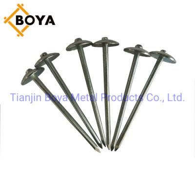 Umbrella Head Nail/Roofing Nail/Big Head Nail with Cheap Price