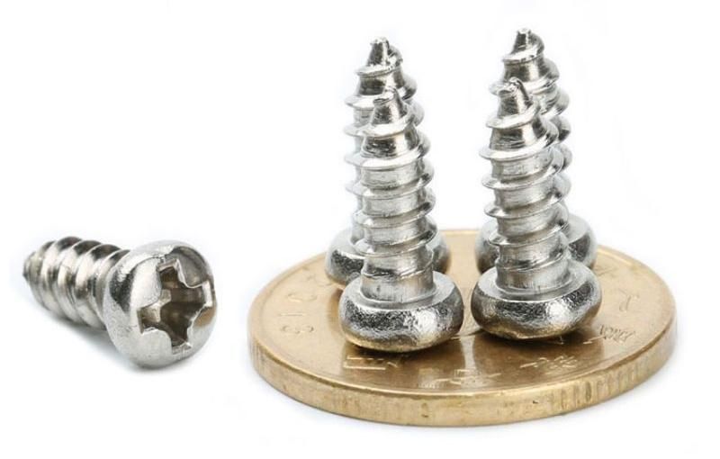 Micro Precision Mini Stainless Steel Pan Head Phillips Self-Tapping Screws