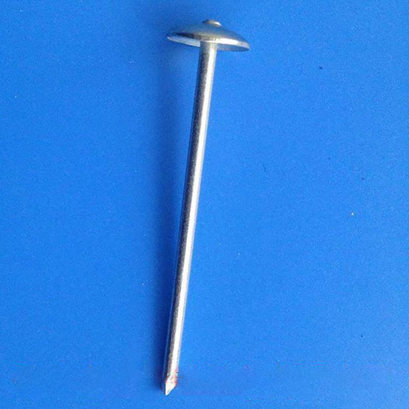 Straight Pole Roofing Nail, Polished Corrugated Nails, Roofing Nail Manufacturer