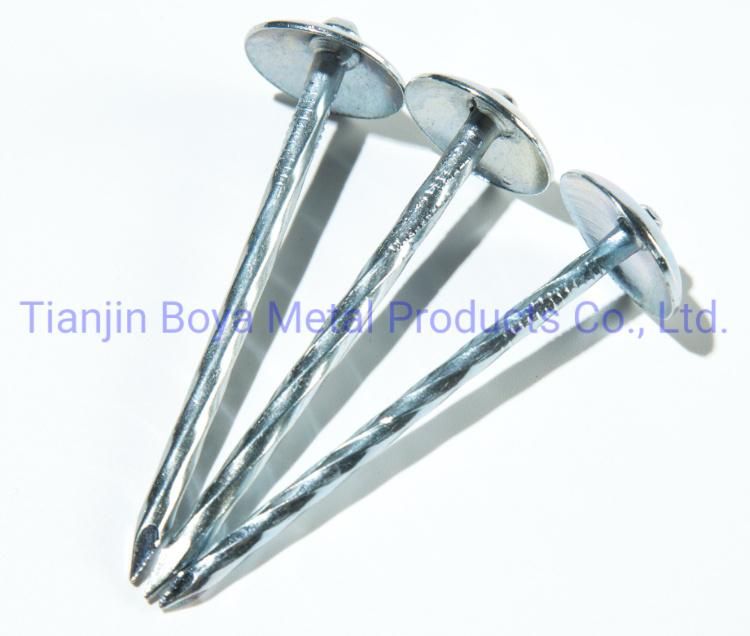 Screw Shank Roofing Nail with Umbrella Head in Material Q195