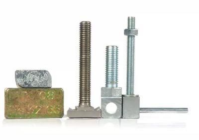Secon Brand Custom Fastener Custom Bolts Special Bolts for Industrial