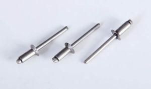 Factory Non-Standard Custom Open End Blind Rivet