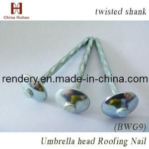 Screw/Galvanized Helical Shank Concrete Steel Nails