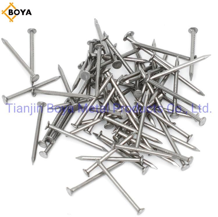 Best Quality Carbon Steel Common Iron Nail/Galvanized Nail/Building Nail/Hardware