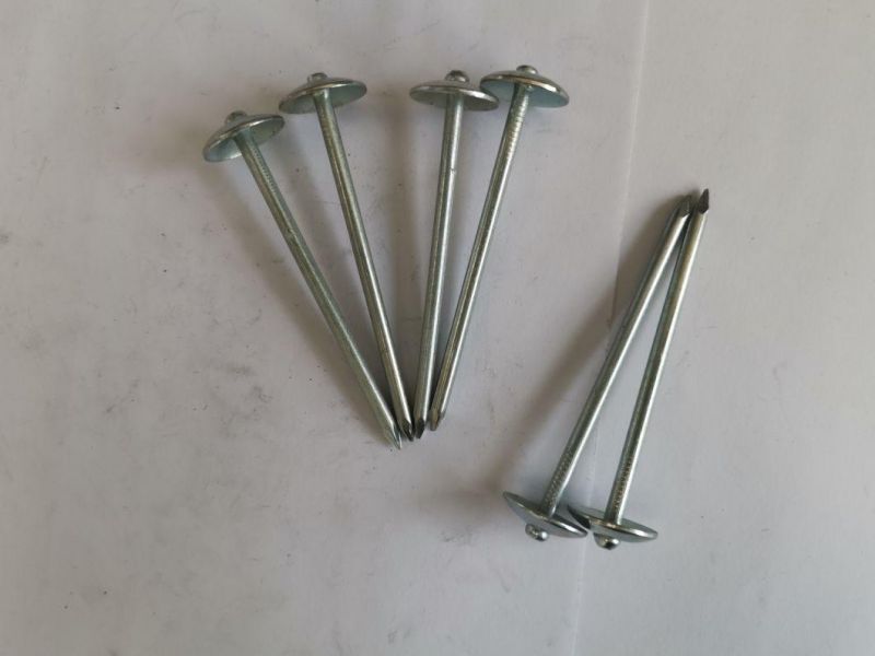 Smooth Shank Coil Roofing Wire Nails Manufacture