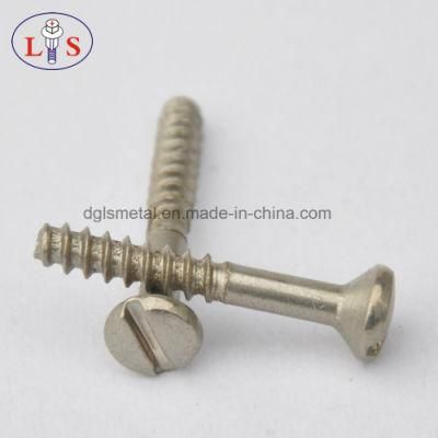 Slotted Countersunk Head Screw with High Quality